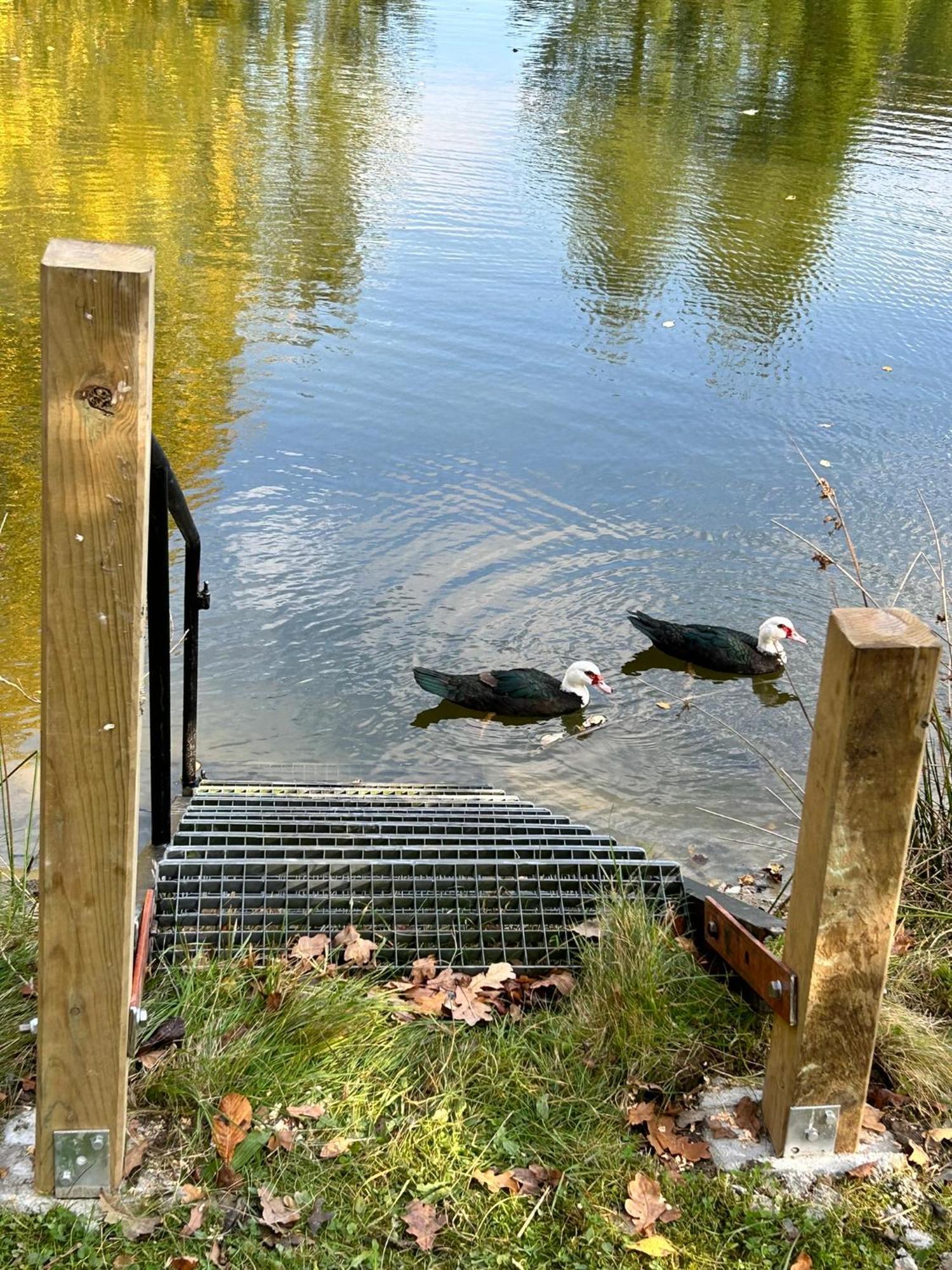 Farm Stay Happy Dogs Ranch Veberod Экстерьер фото